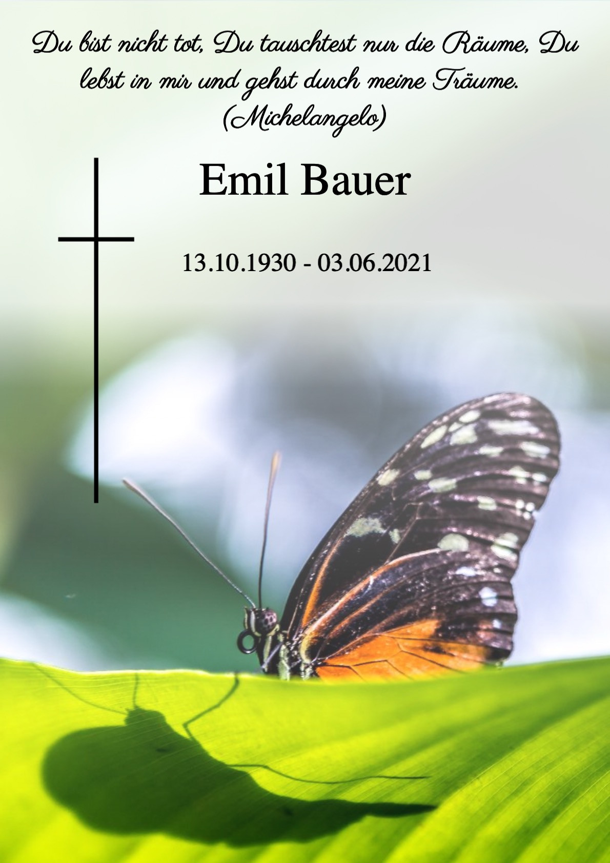Traueranzeige von Emil Bauer