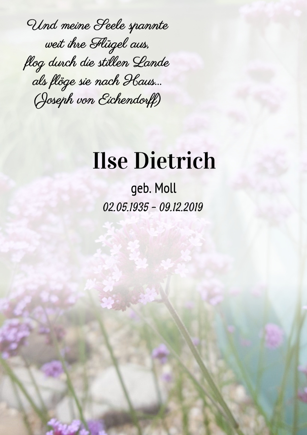 Traueranzeige von Ilse Dietrich