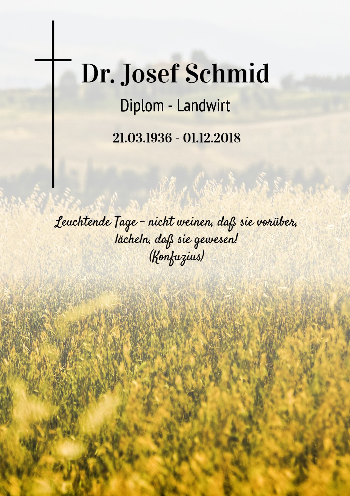 Traueranzeige von Dr. Josef Schmid