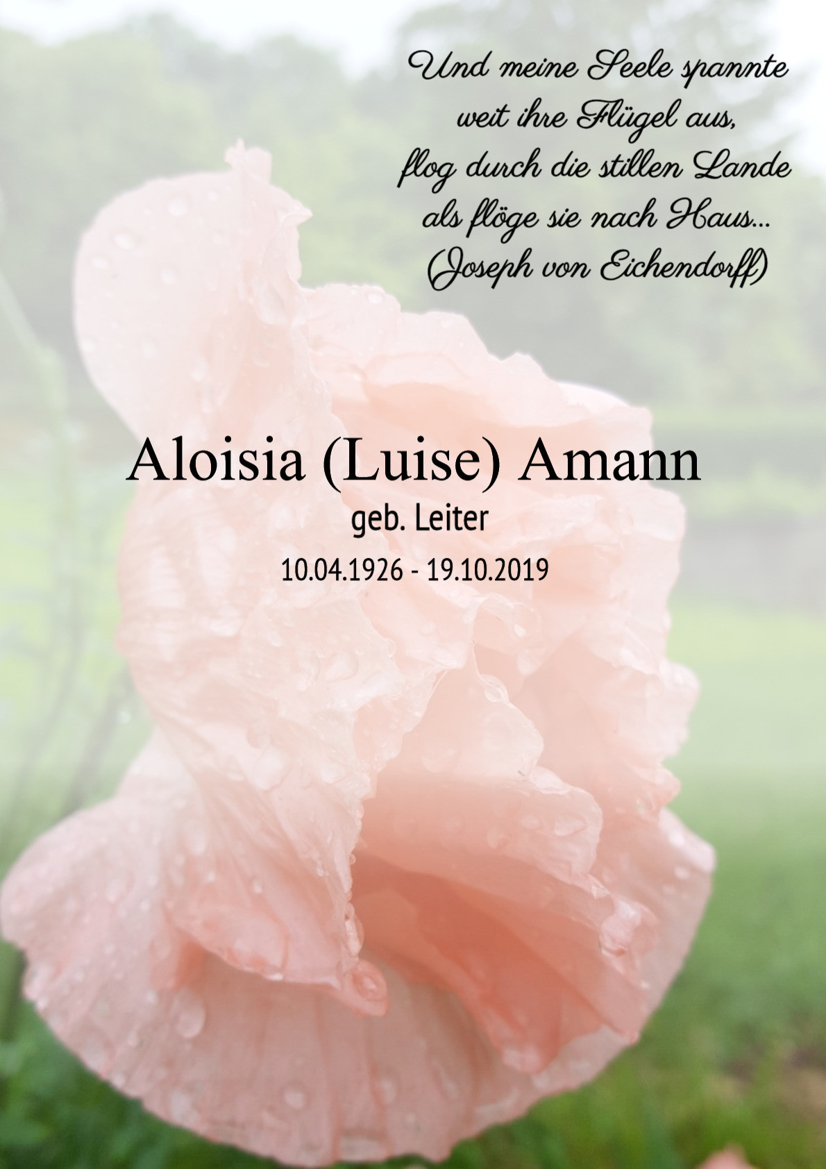 Traueranzeige von Aloisia (Luise) Amann