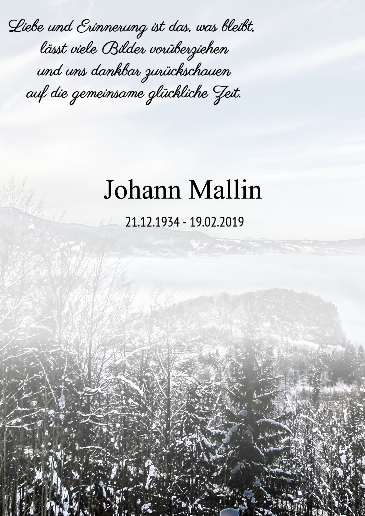 Traueranzeige von Johann Mallin