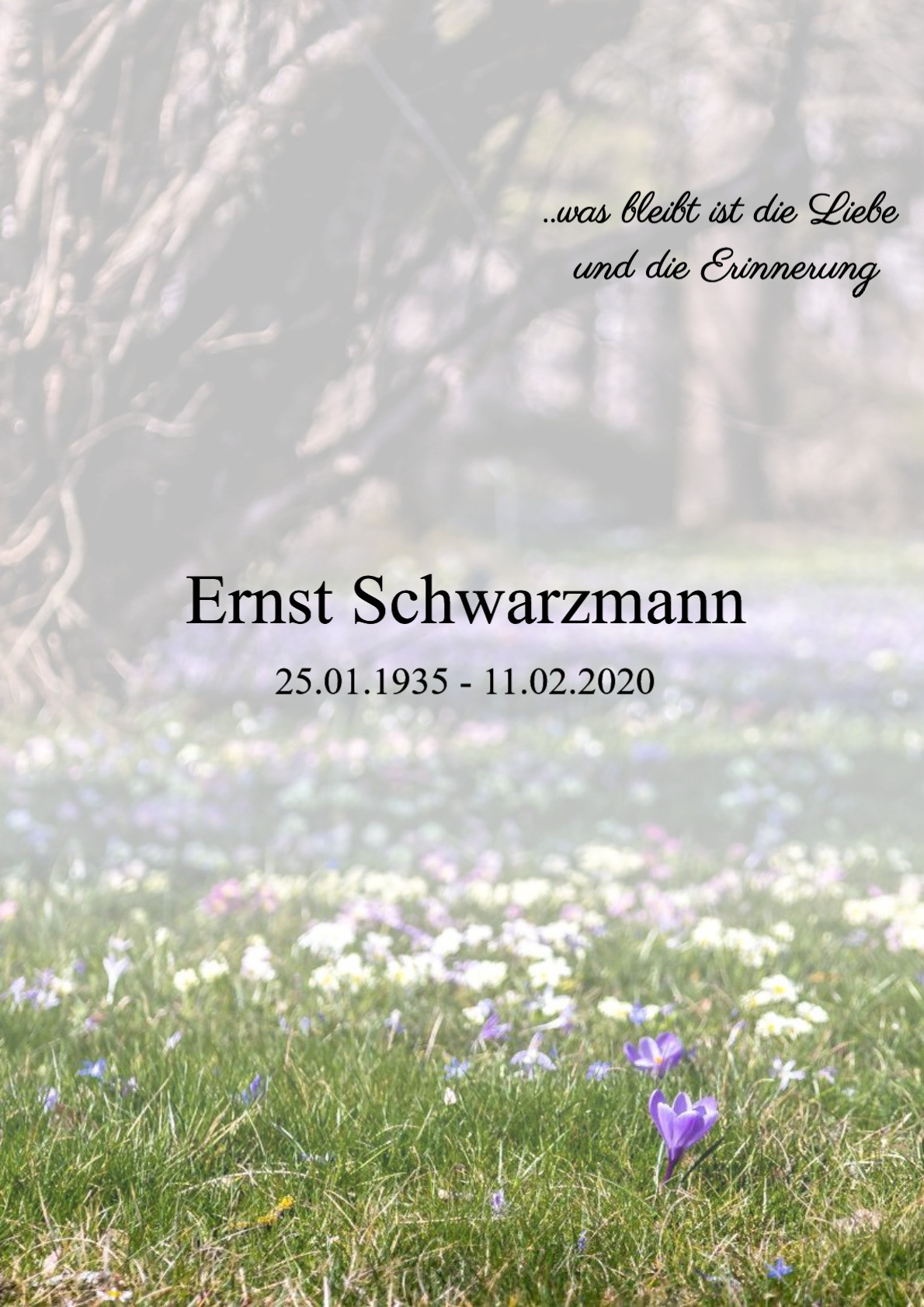 Traueranzeige von Ernst Schwarzmann