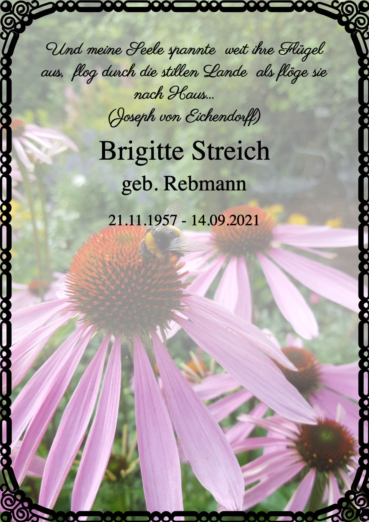Traueranzeige von Brigitte Streich