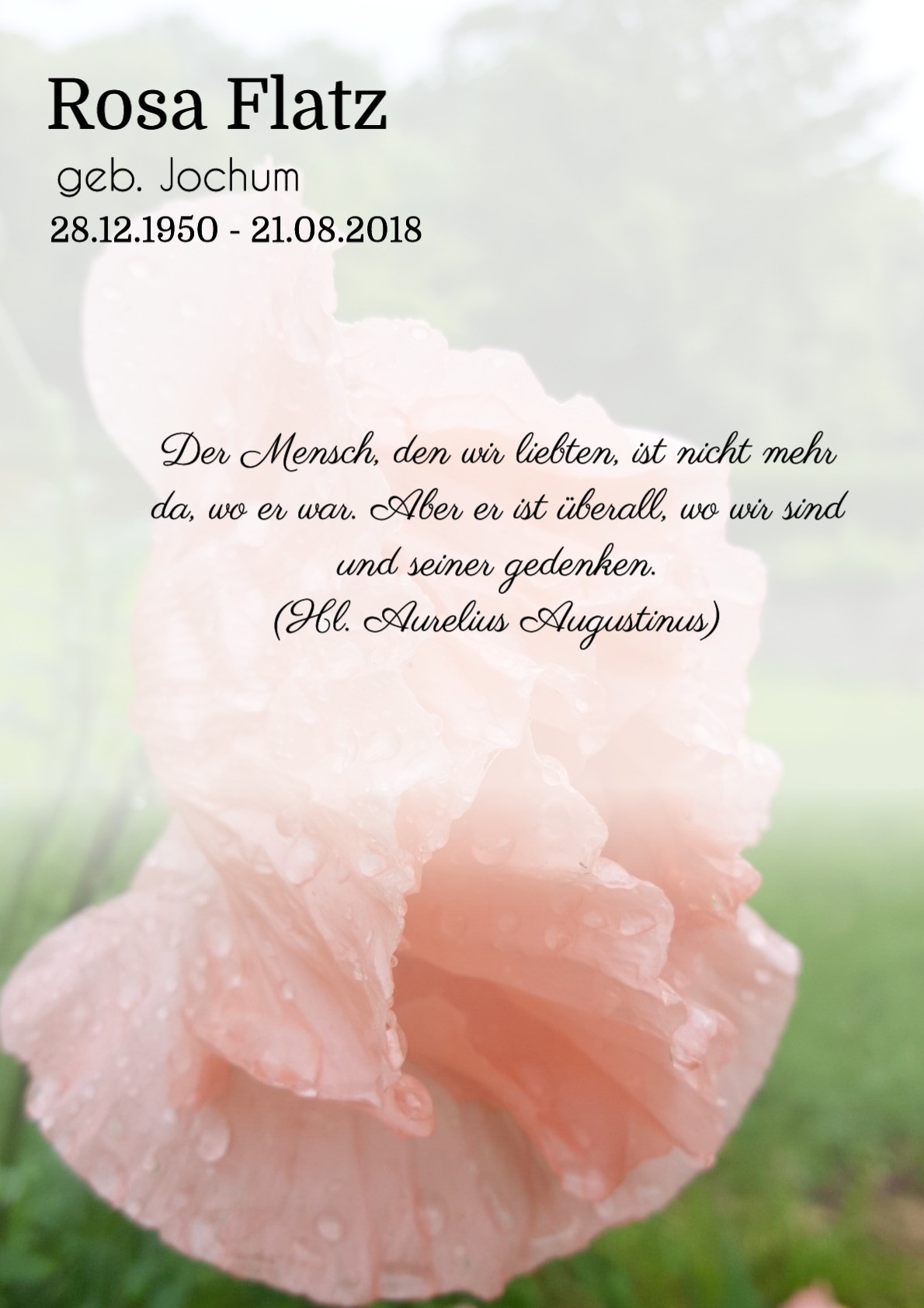 Traueranzeige von Rosa Flatz