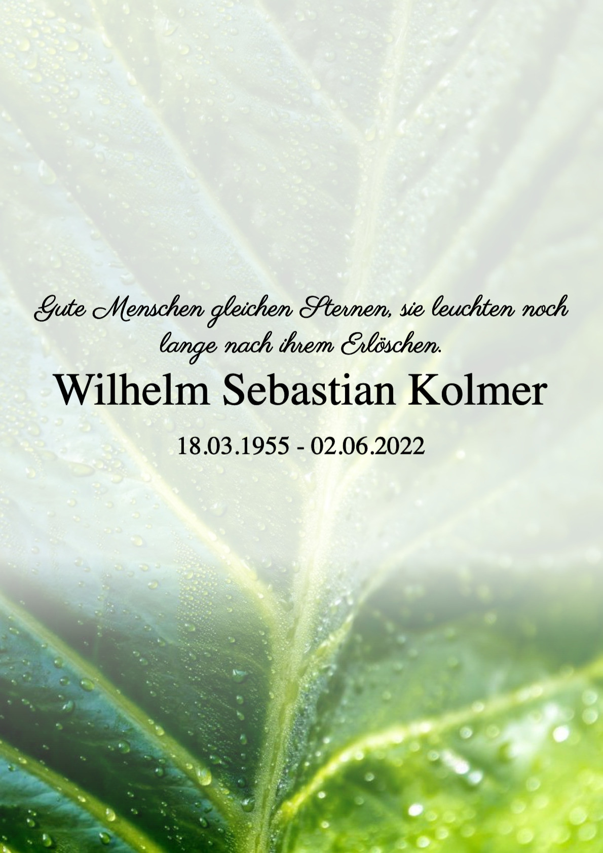 Traueranzeige von Wilhelm Sebastian Kolmer