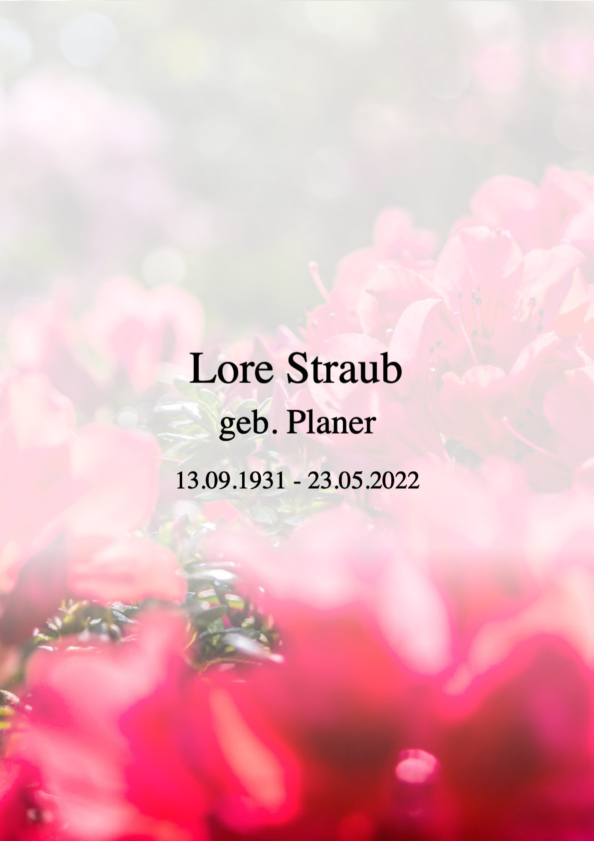 Traueranzeige von Lore Straub