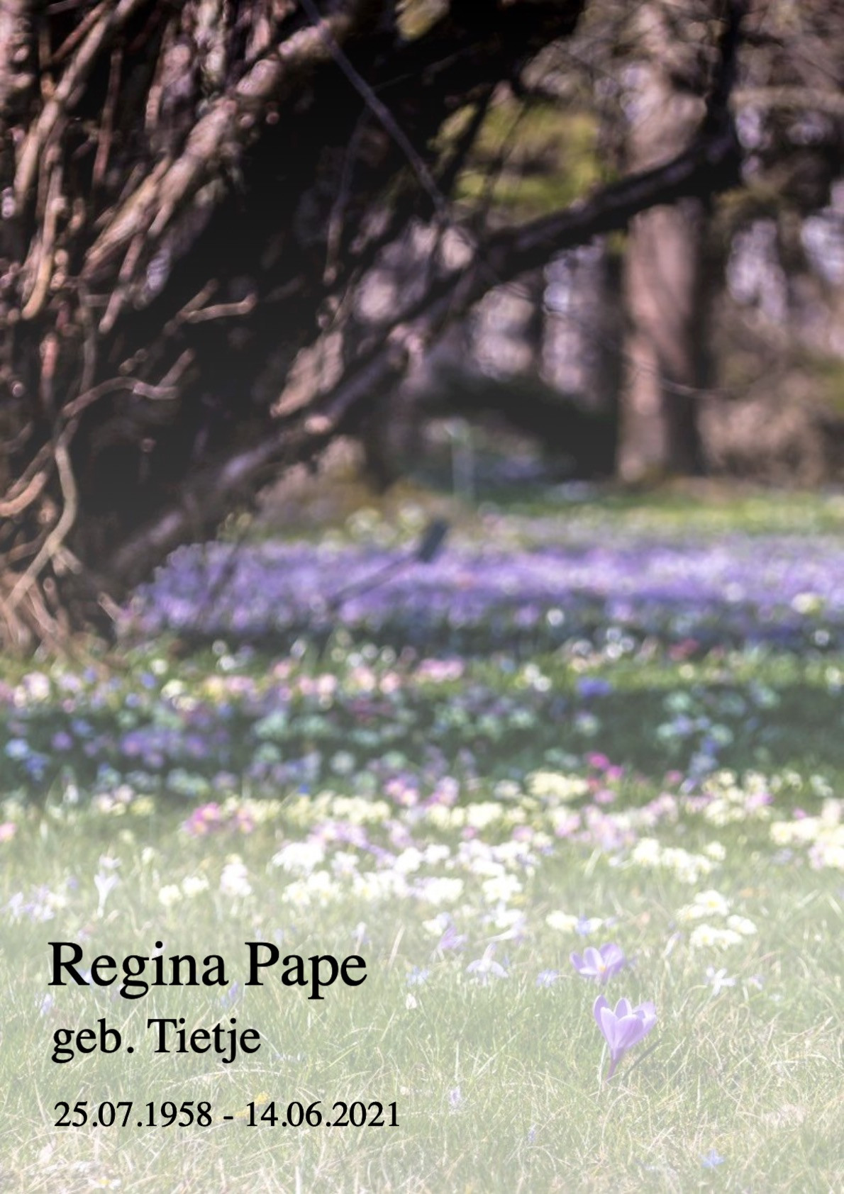 Traueranzeige von Regina Pape