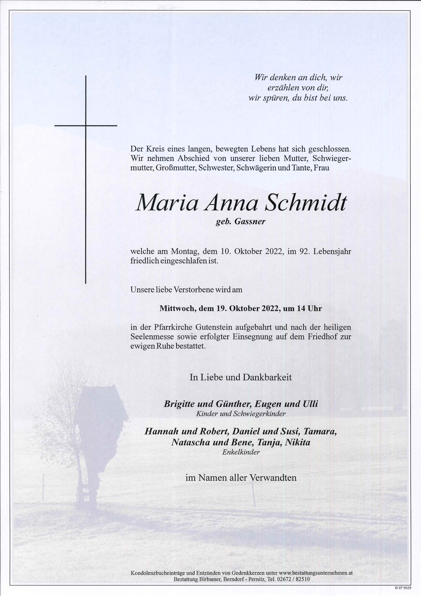 Traueranzeige von Maria Anna Schmidt