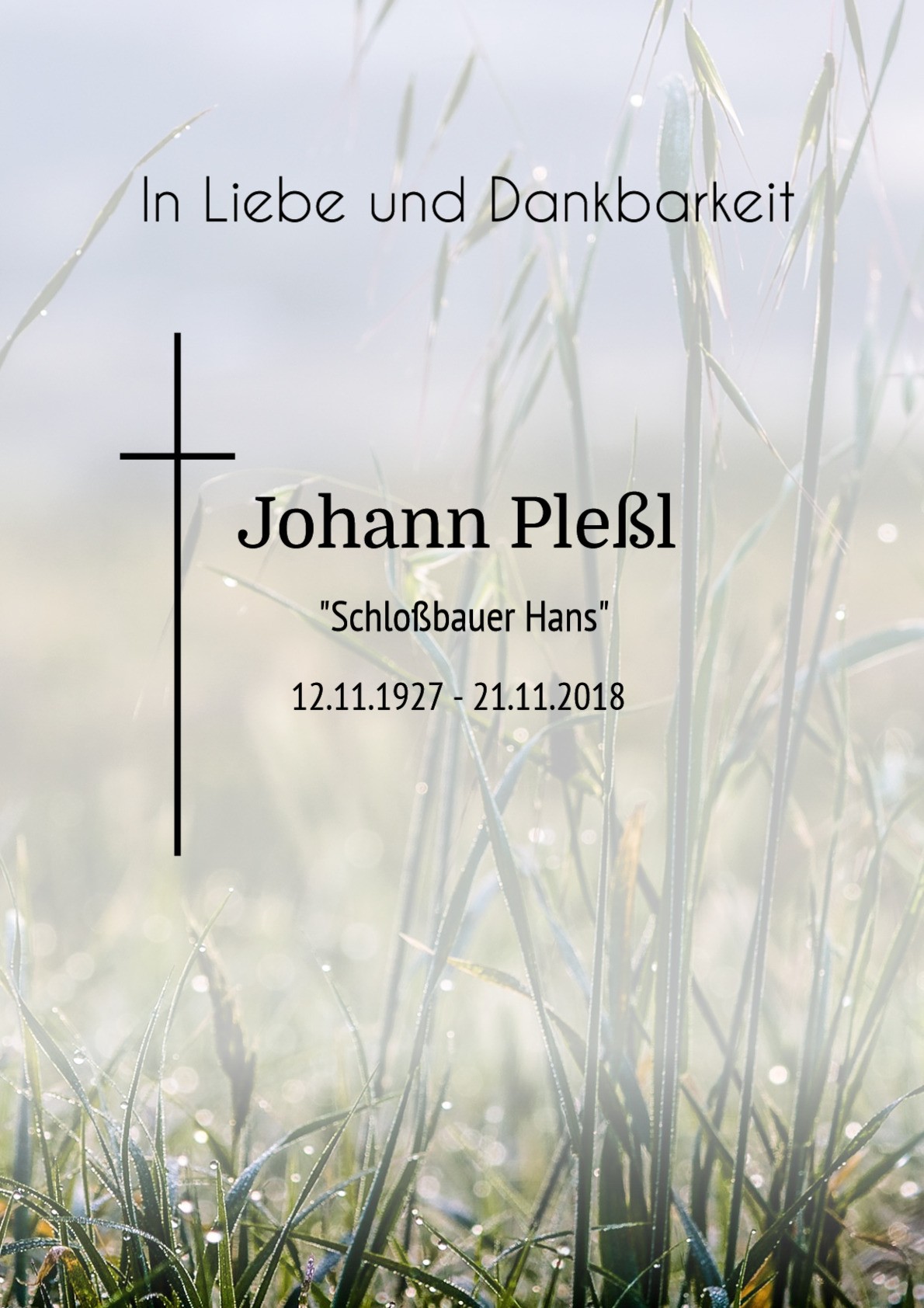 Traueranzeige von Johann Pleßl