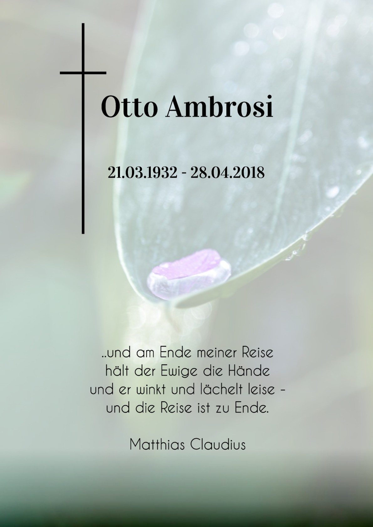 Traueranzeige von Otto Ambrosi