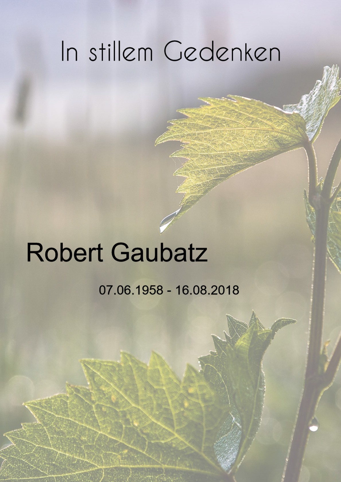 Traueranzeige von Robert Gaubatz