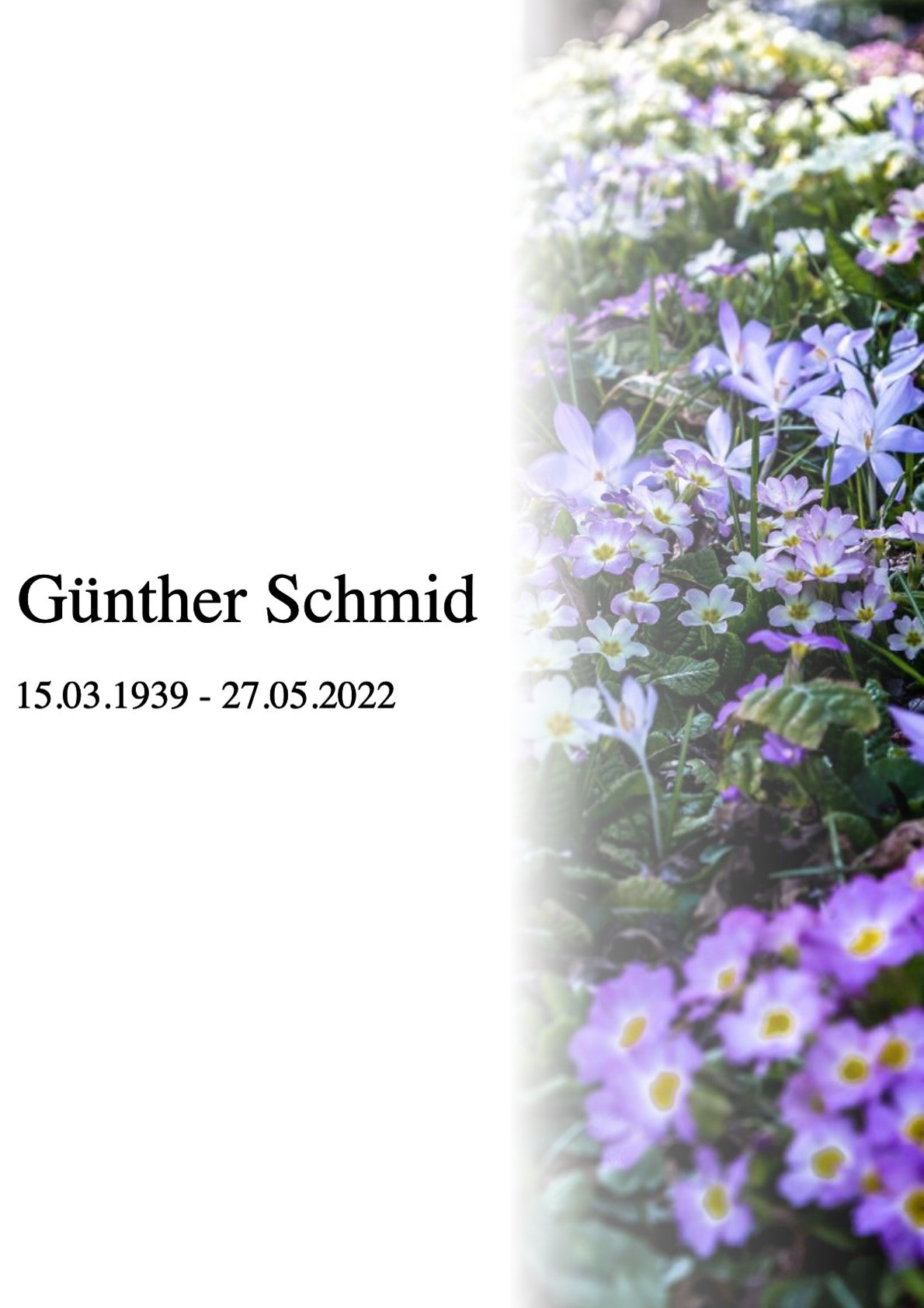 Traueranzeige von Günther Schmid