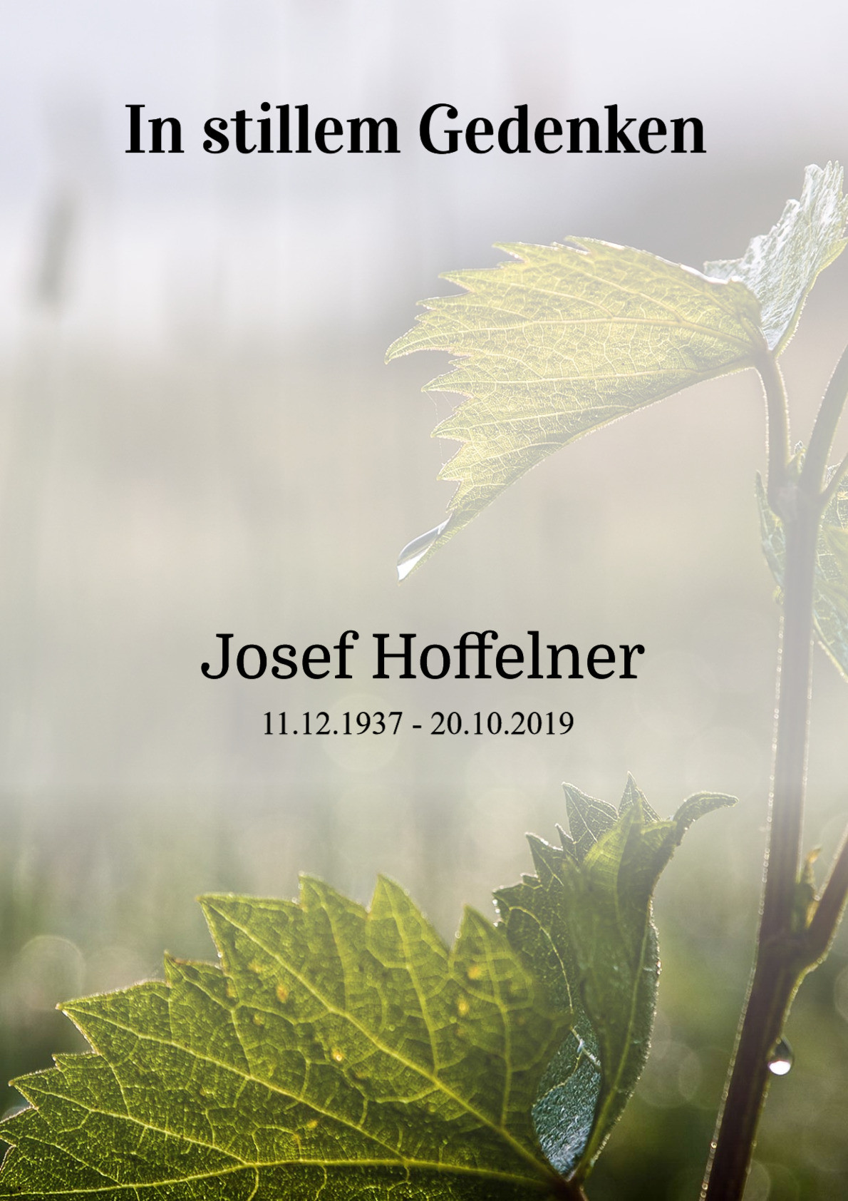 Traueranzeige von Josef Hoffelner