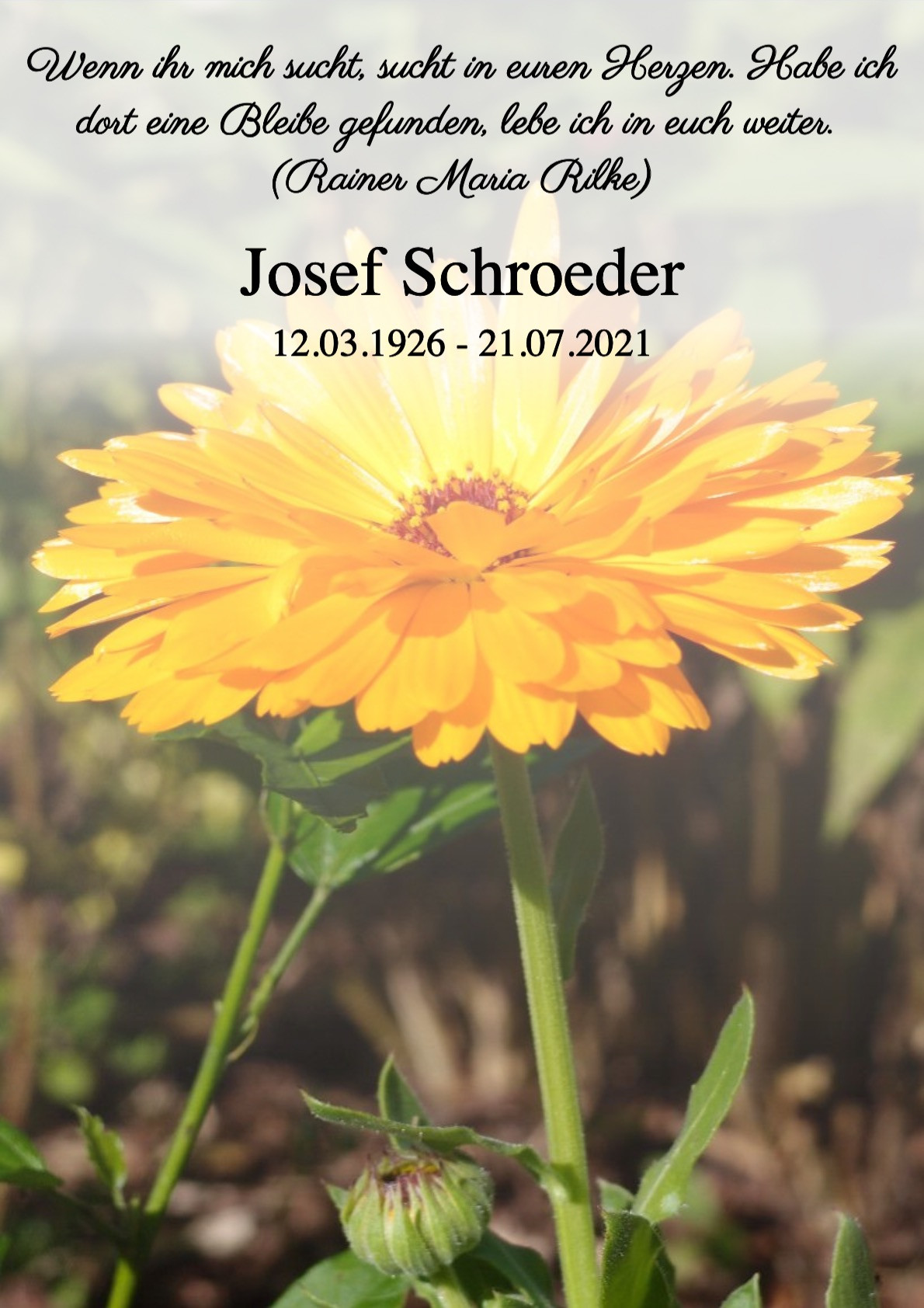 Traueranzeige von Josef Schroeder