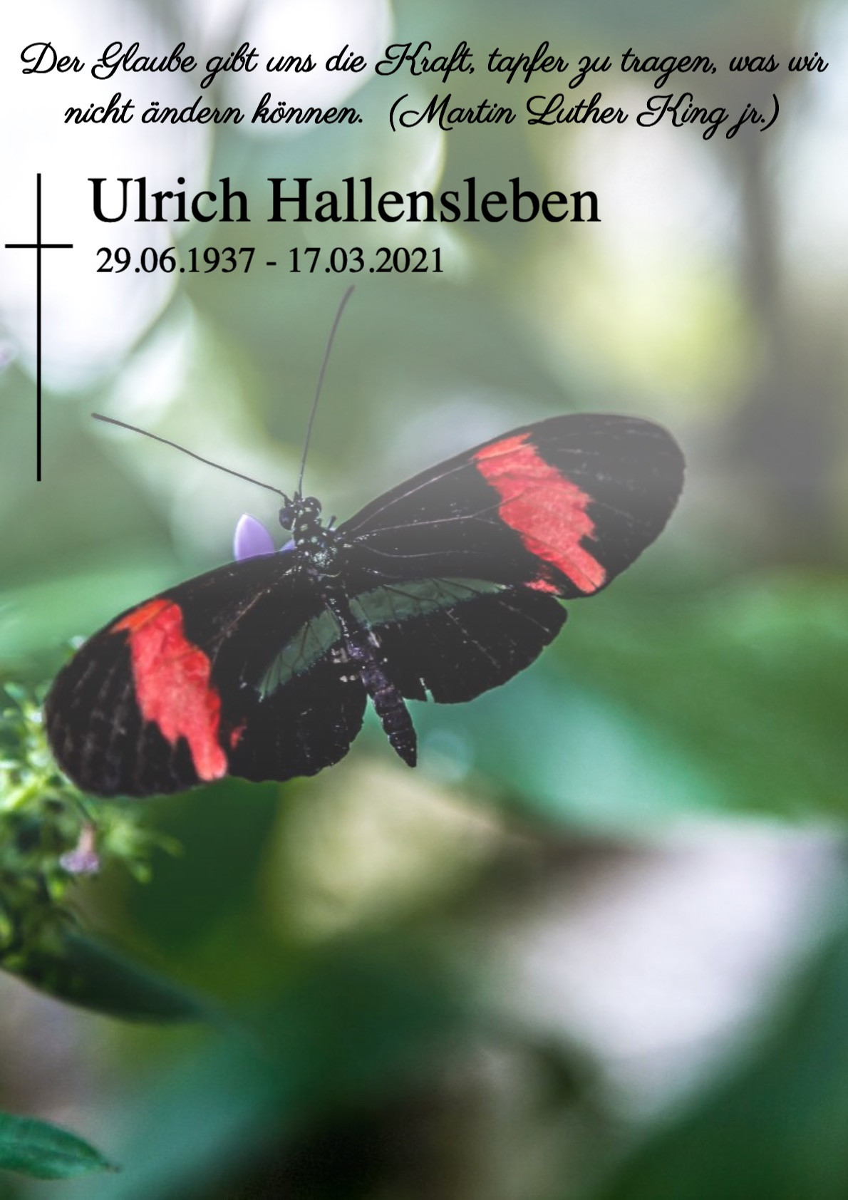 Traueranzeige von Ulrich Hallensleben
