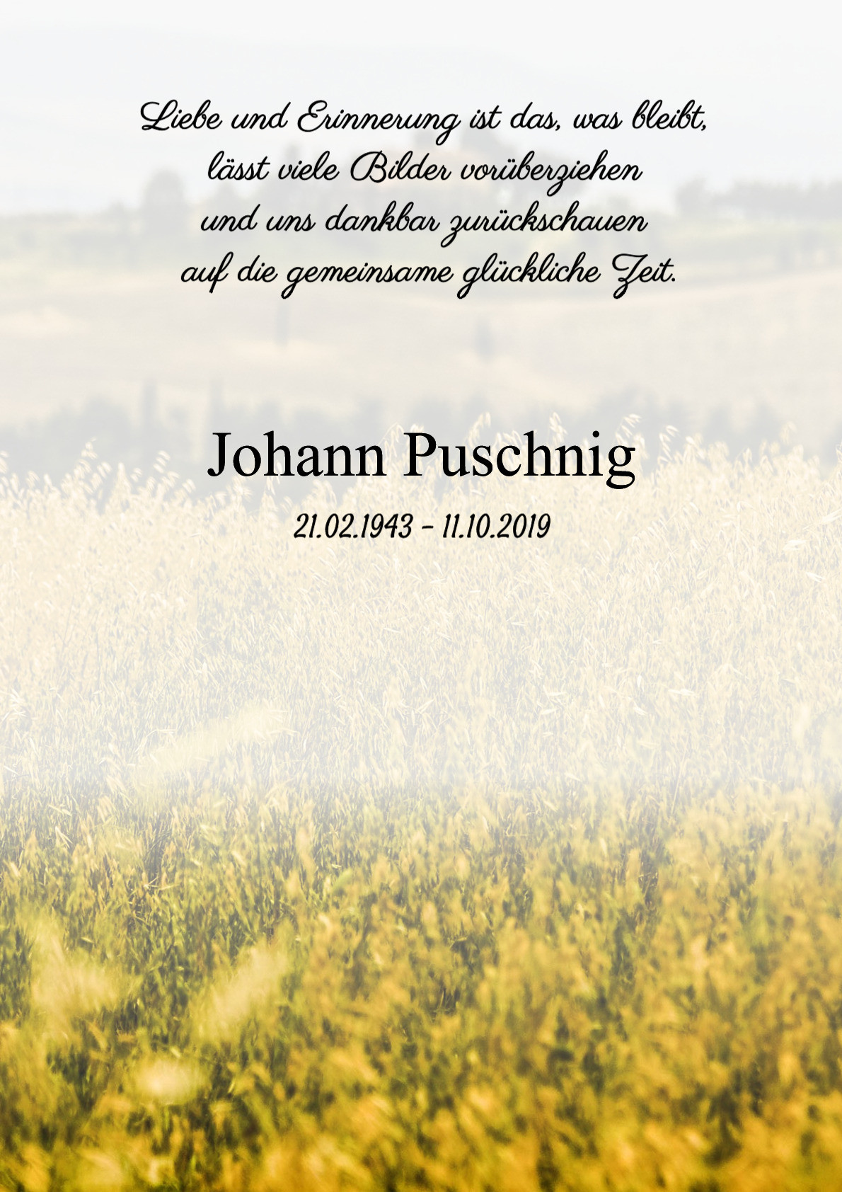 Traueranzeige von Johann Puschnig