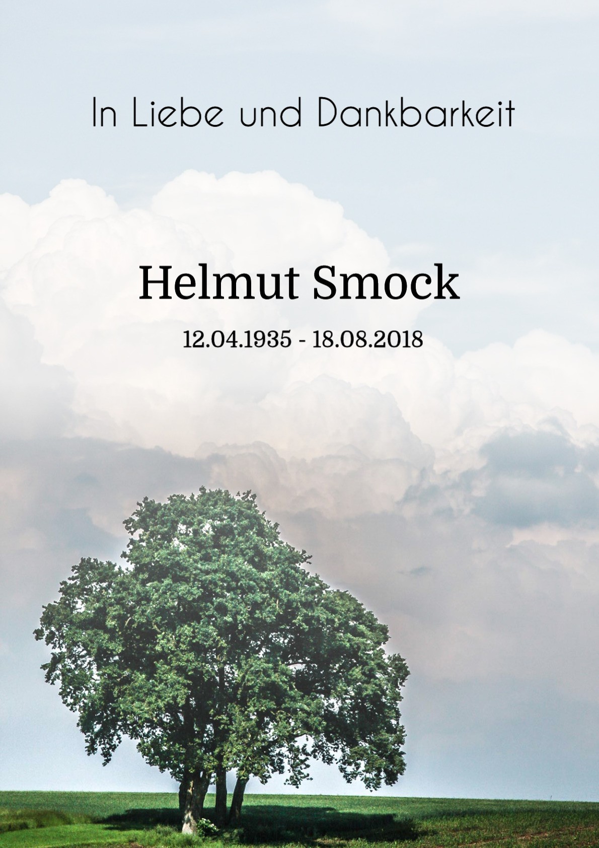 Traueranzeige von Helmut Smock