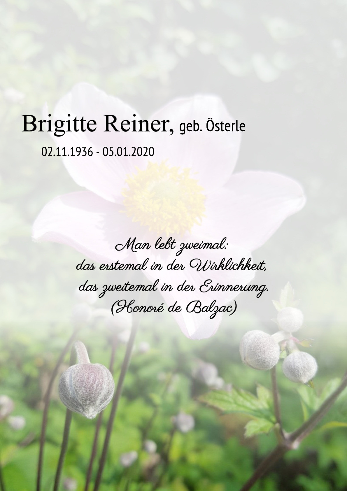 Traueranzeige von Brigitte Reiner