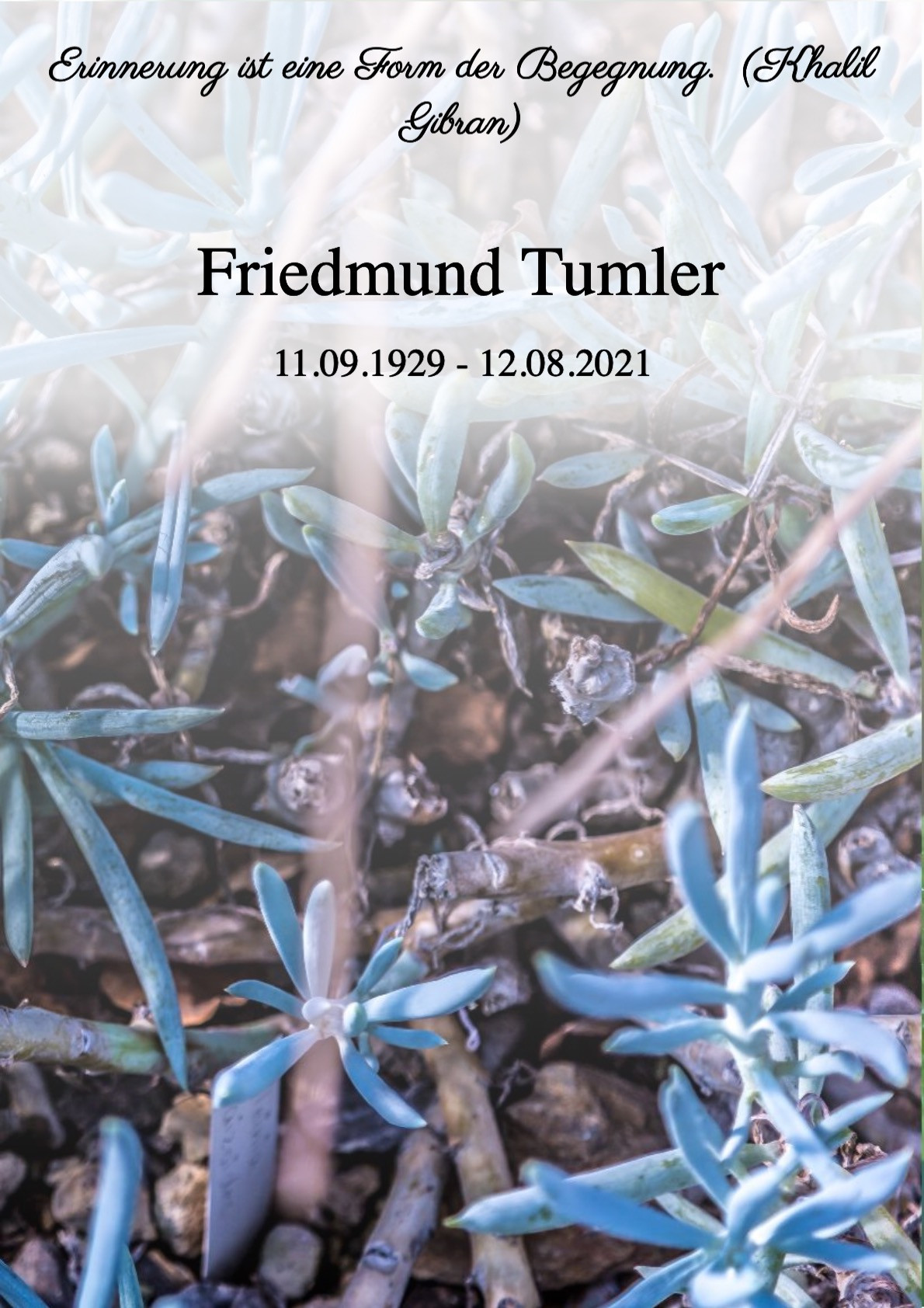 Traueranzeige von Friedmund Tumler