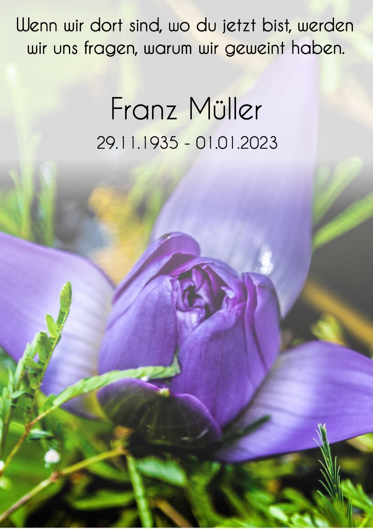 Traueranzeige von Franz Müller