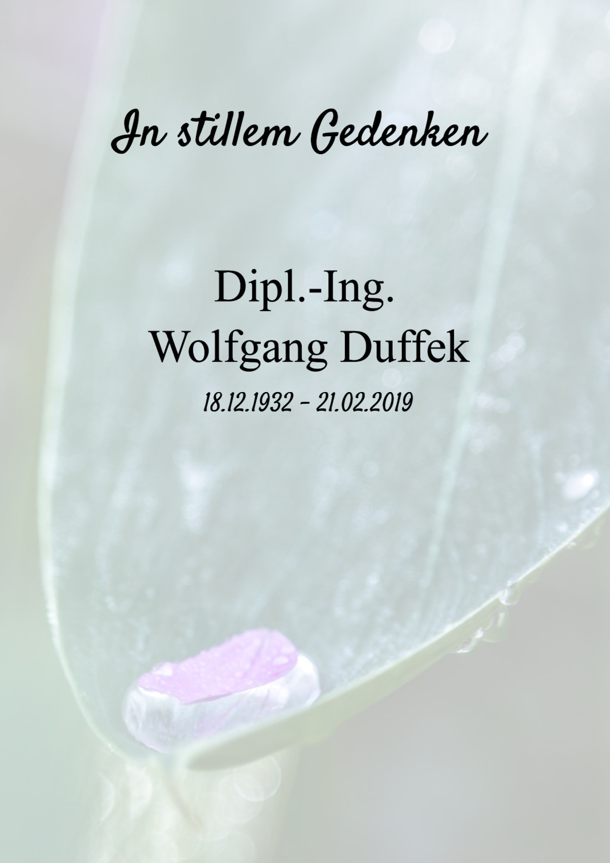 Traueranzeige von Dipl.-Ing. Wolfgang Duffek