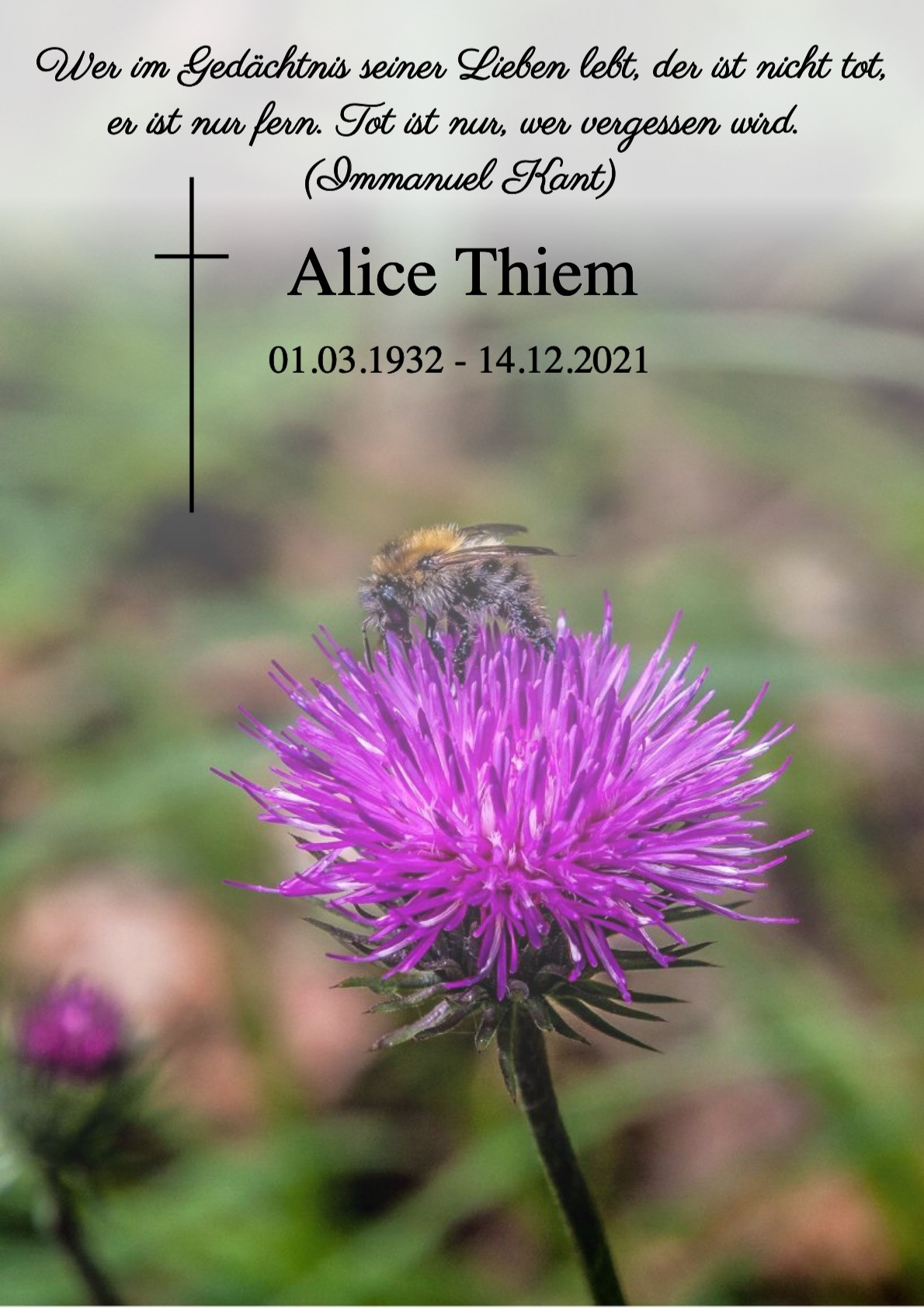 Traueranzeige von Alice Thiem