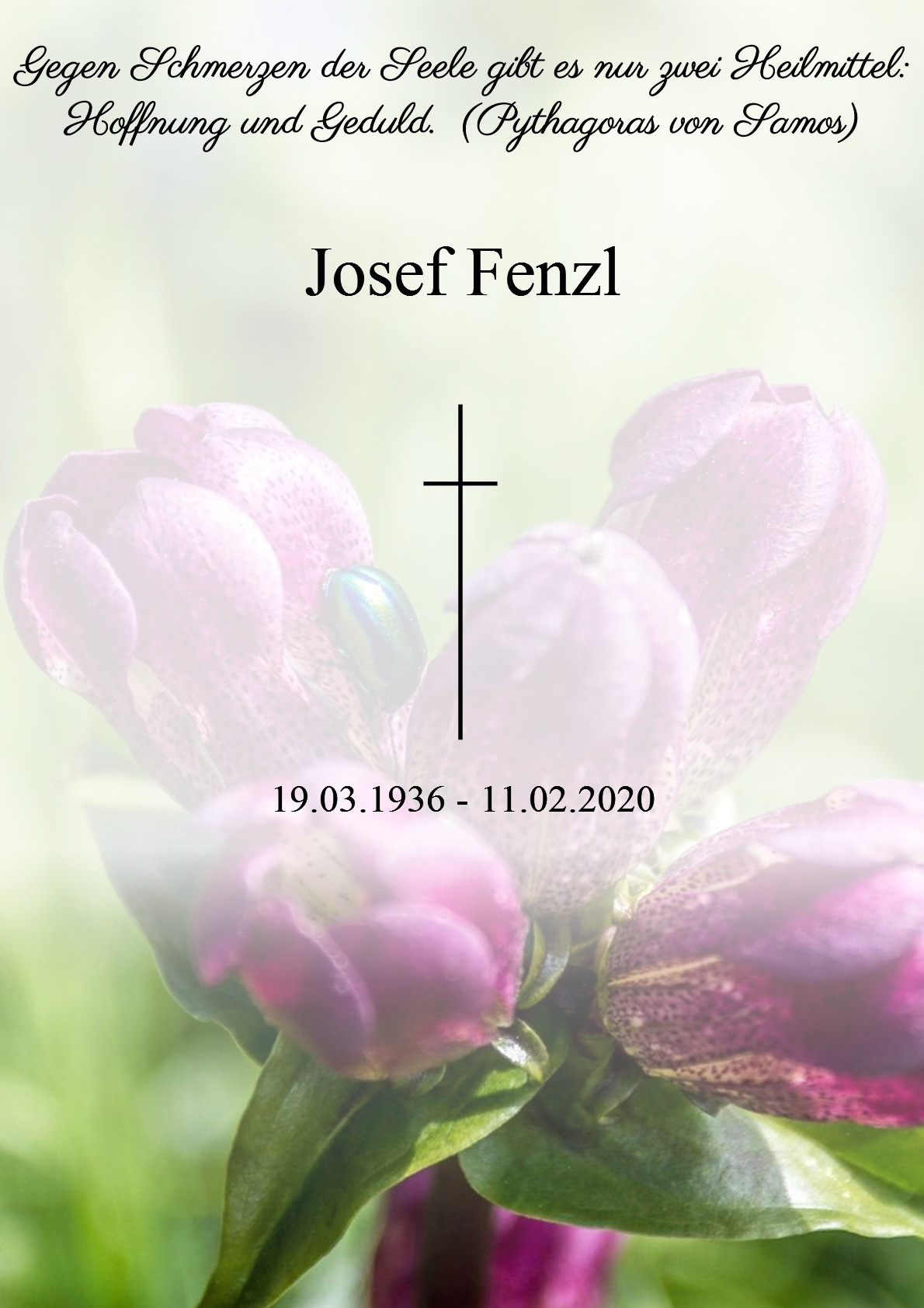 Traueranzeige von Josef Fenzl