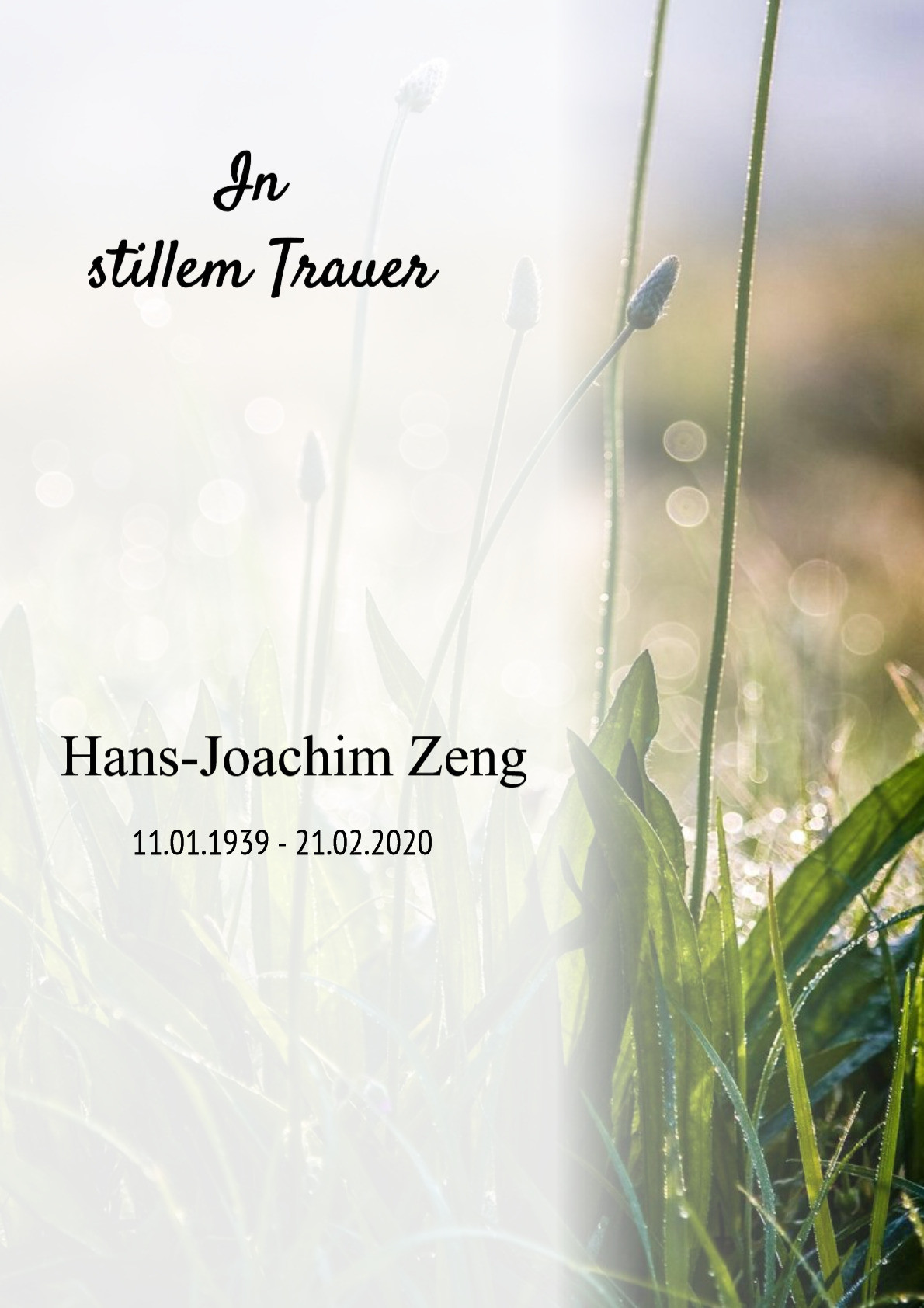 Traueranzeige von Hans-Joachim Zeng