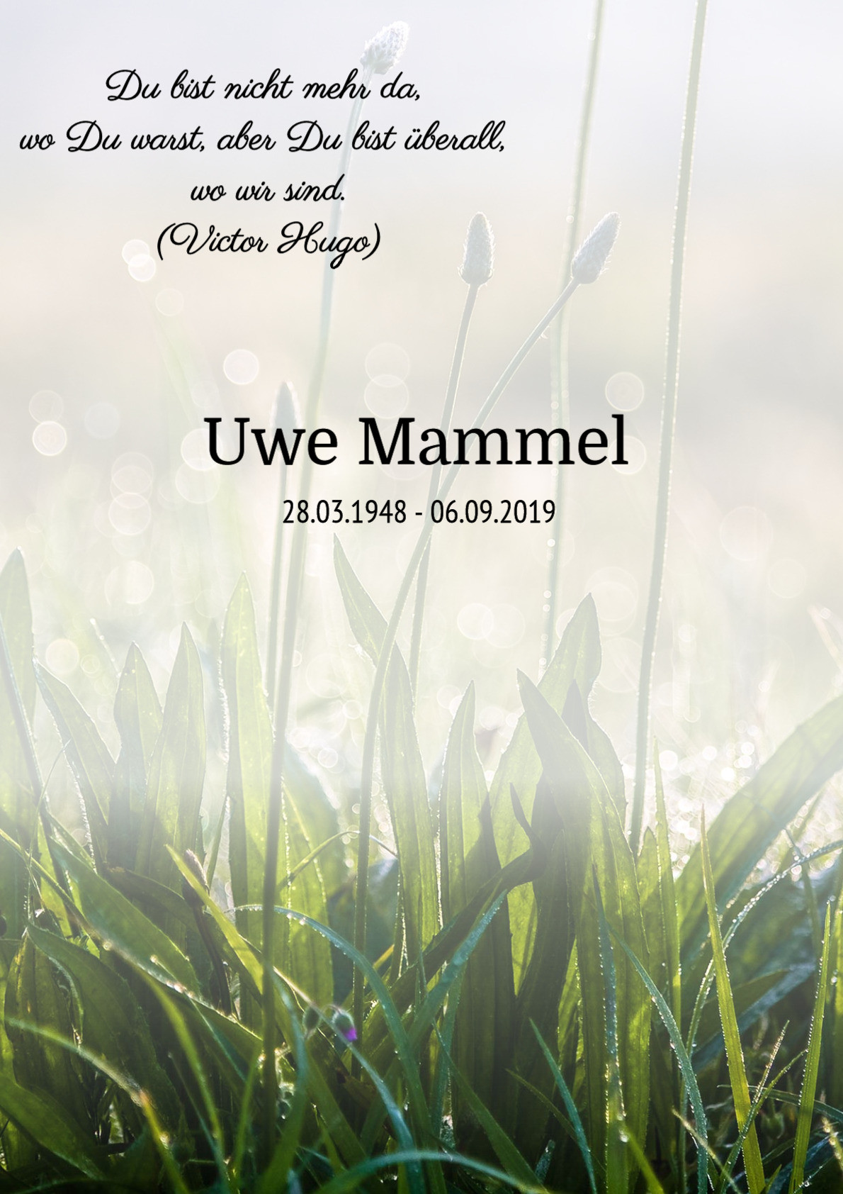 Traueranzeige von Uwe Mammel