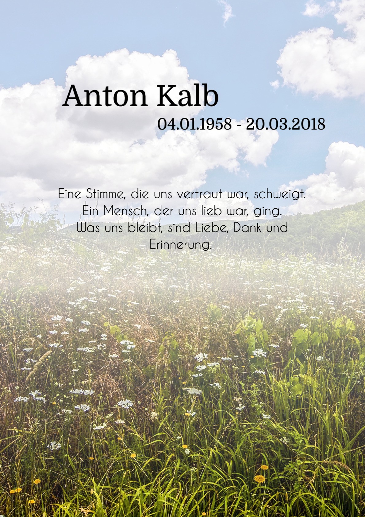 Traueranzeige von Anton Kalb