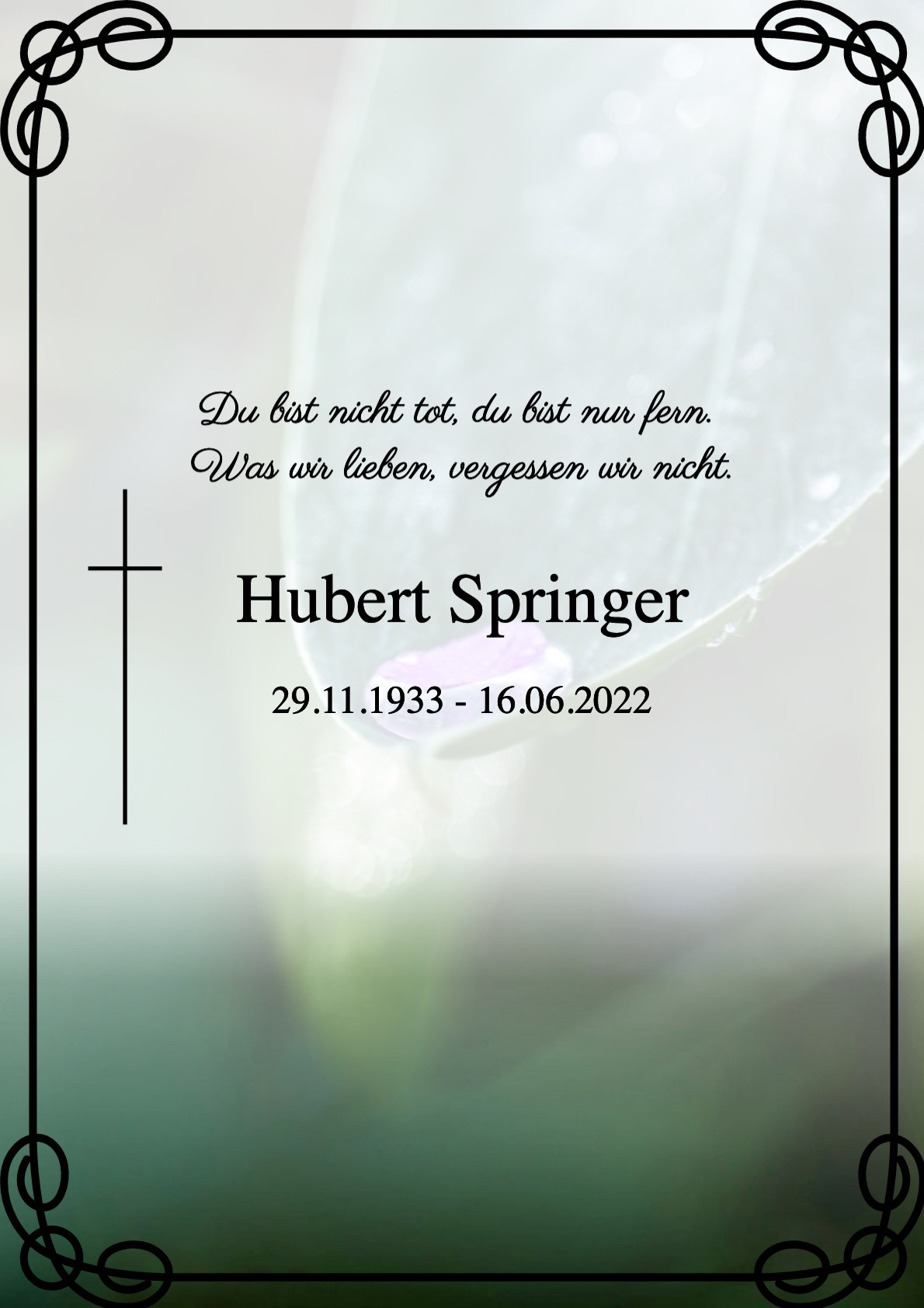 Traueranzeige von Hubert Springer