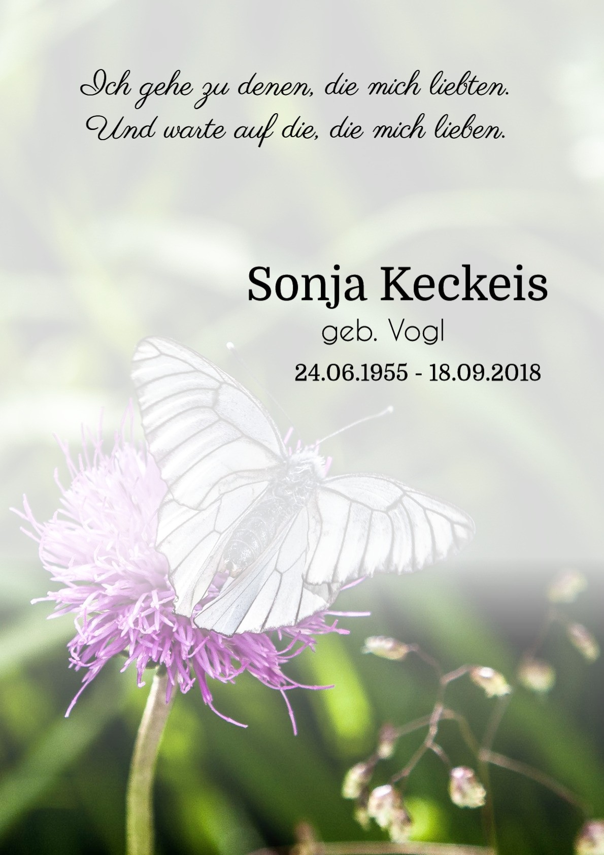 Traueranzeige von Sonja Keckeis