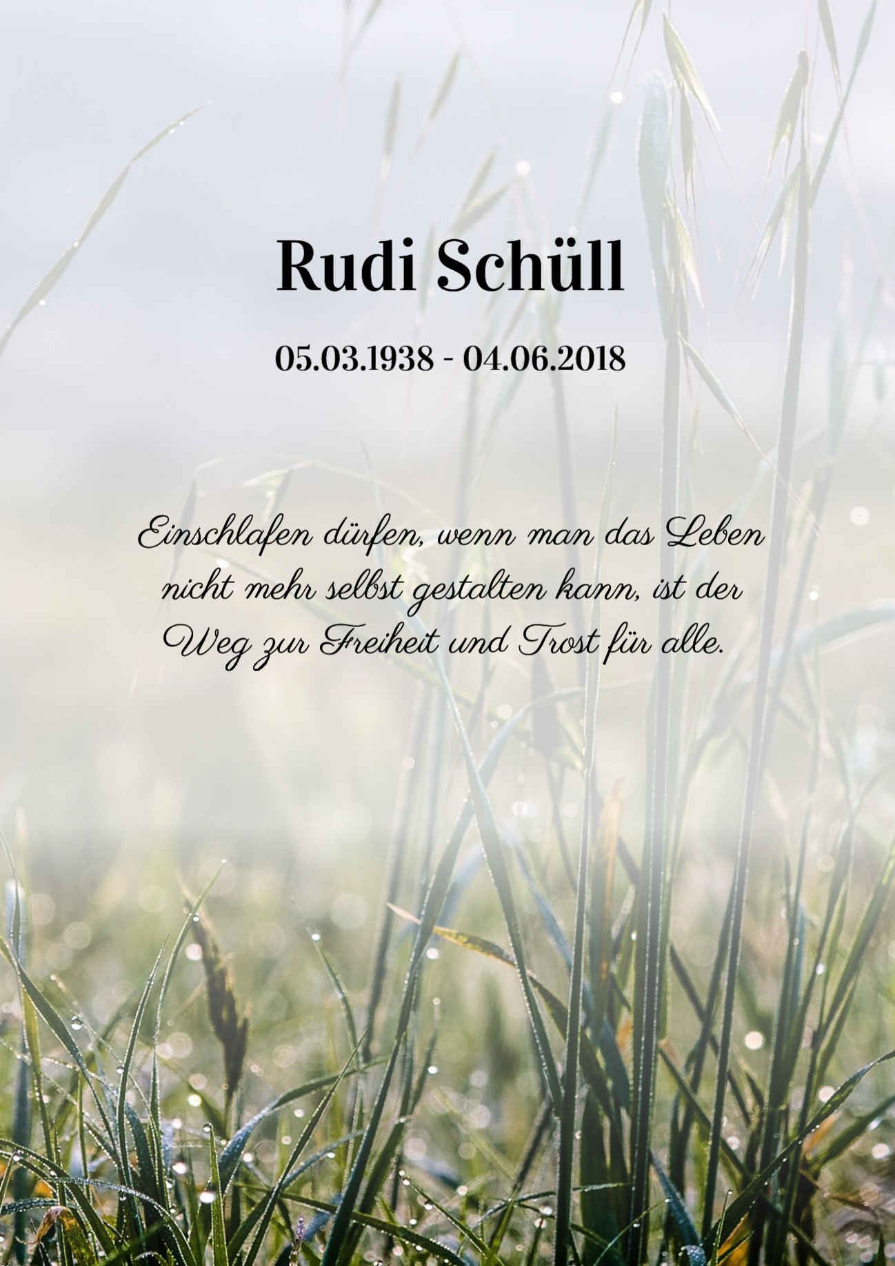 Traueranzeige von Rudi Schüll