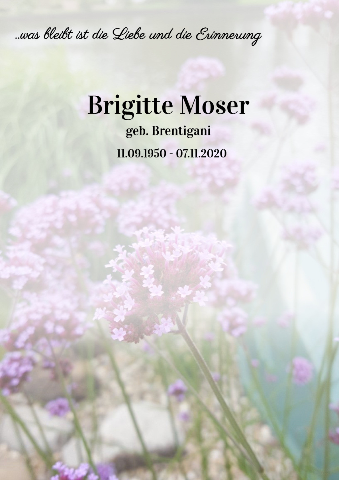 Traueranzeige von Brigitte Moser