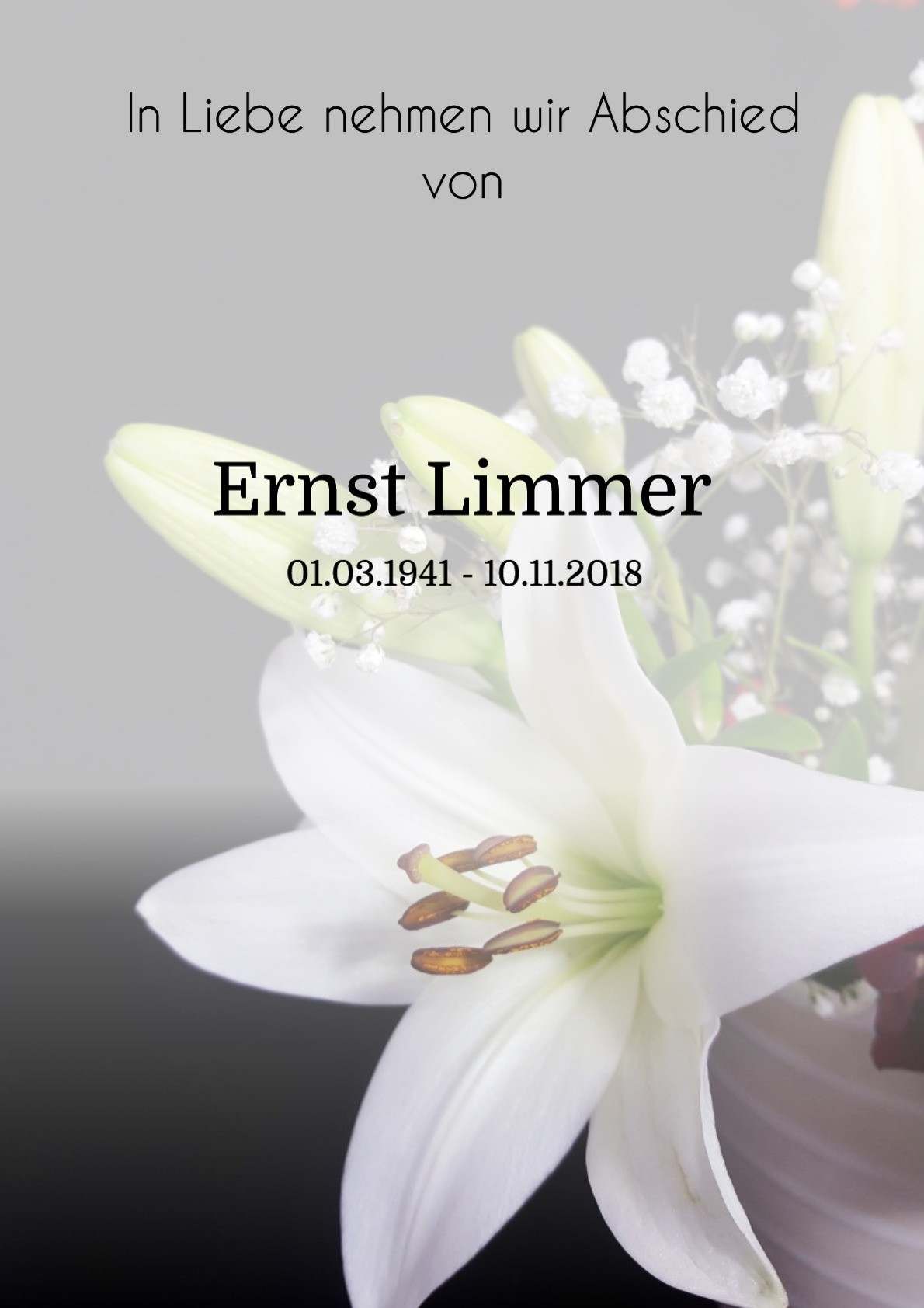 Traueranzeige von Ernst Limmer