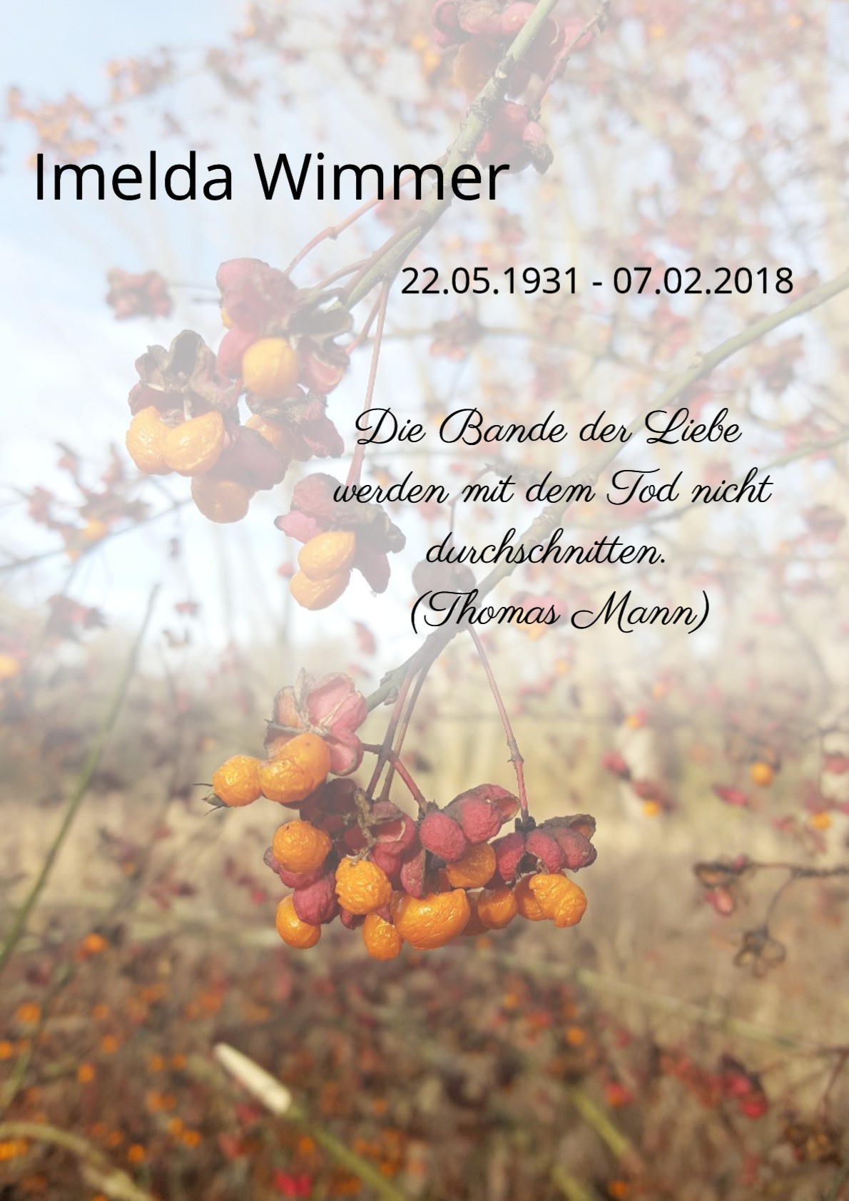Traueranzeige von Imelda Wimmer