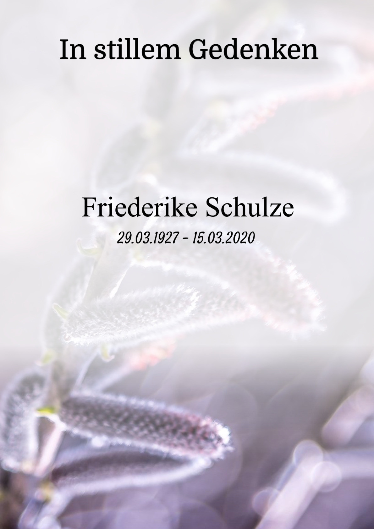 Traueranzeige von Friederike Schulze