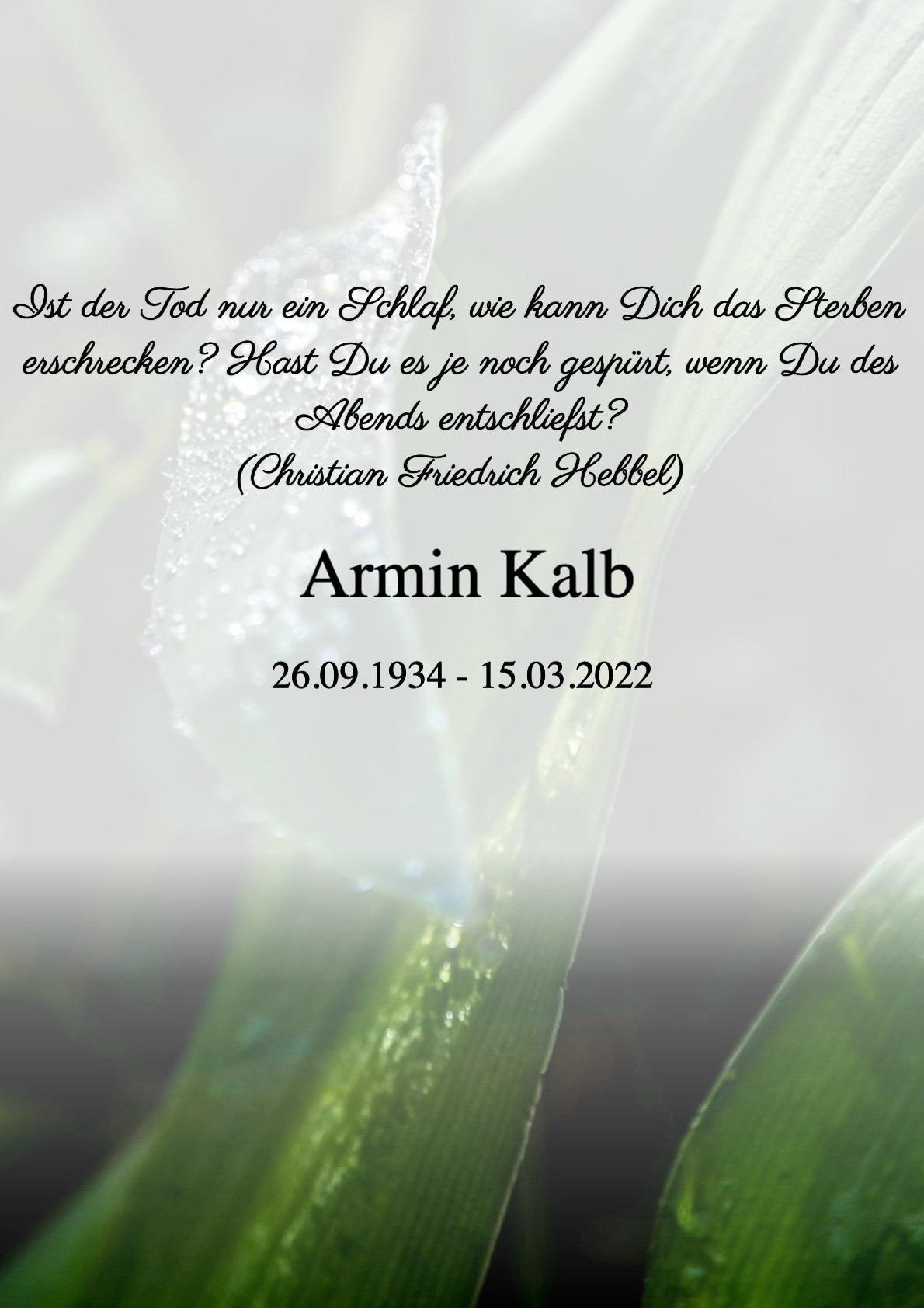 Traueranzeige von Armin Kalb