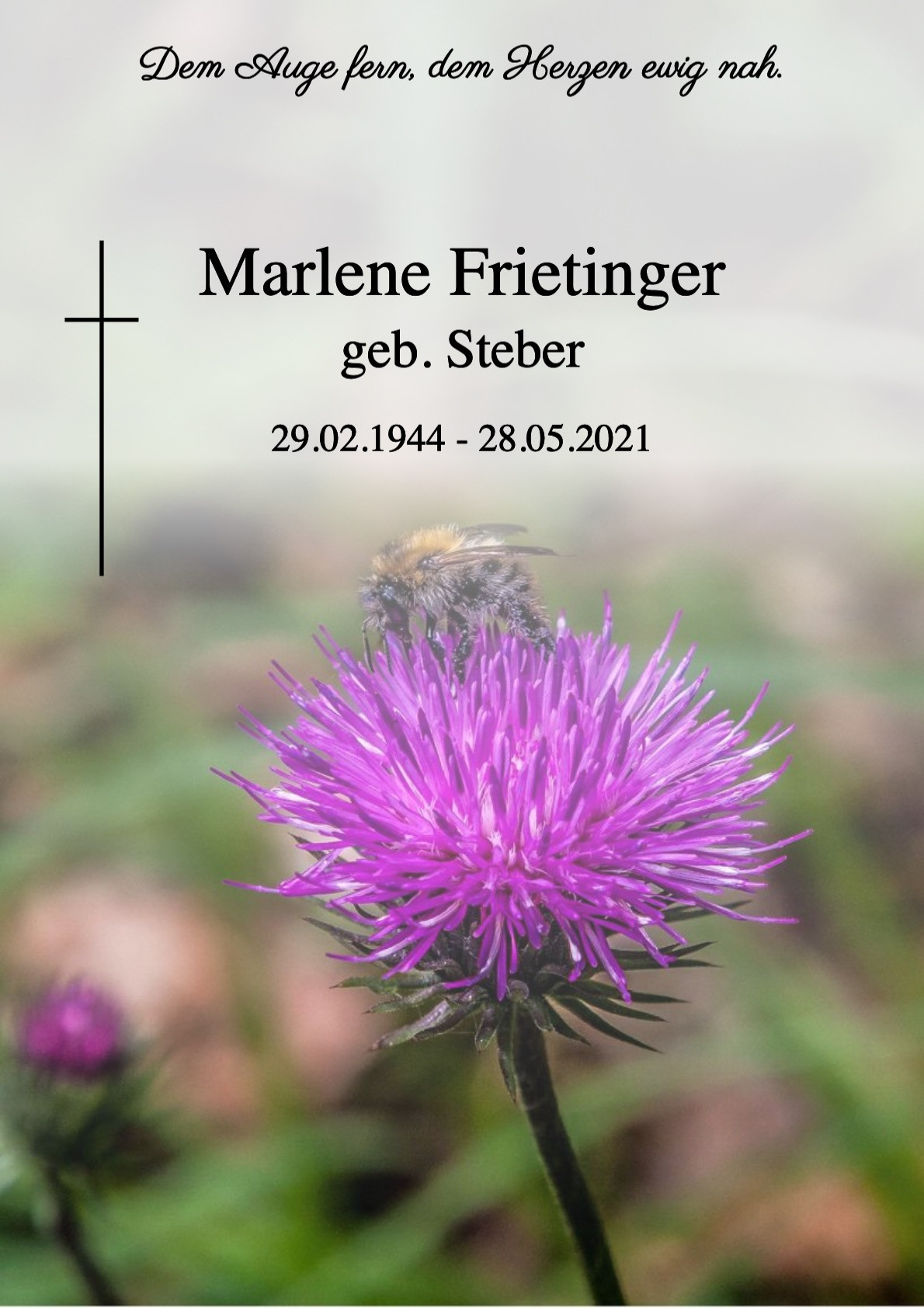 Traueranzeige von Marlene Frietinger