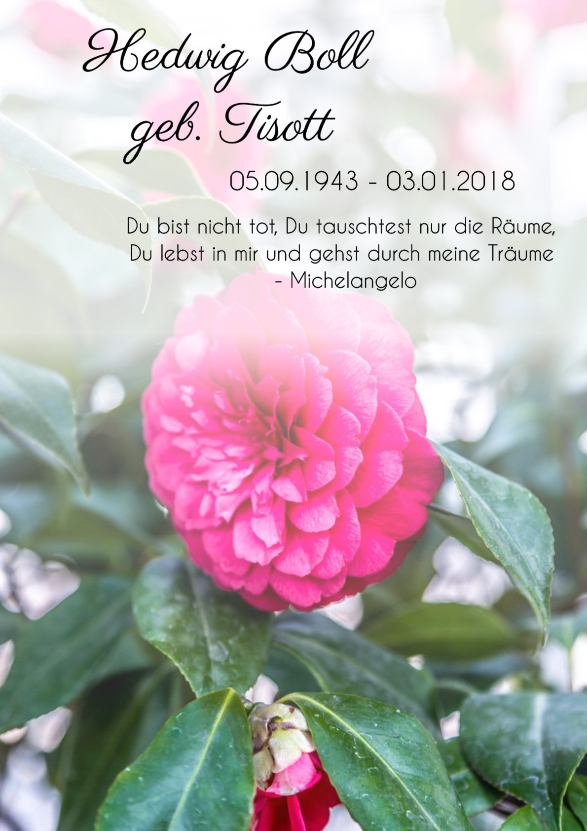 Traueranzeige von Hedwig Boll