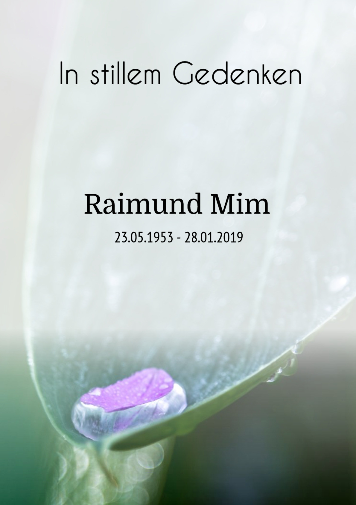 Traueranzeige von Raimund Mim