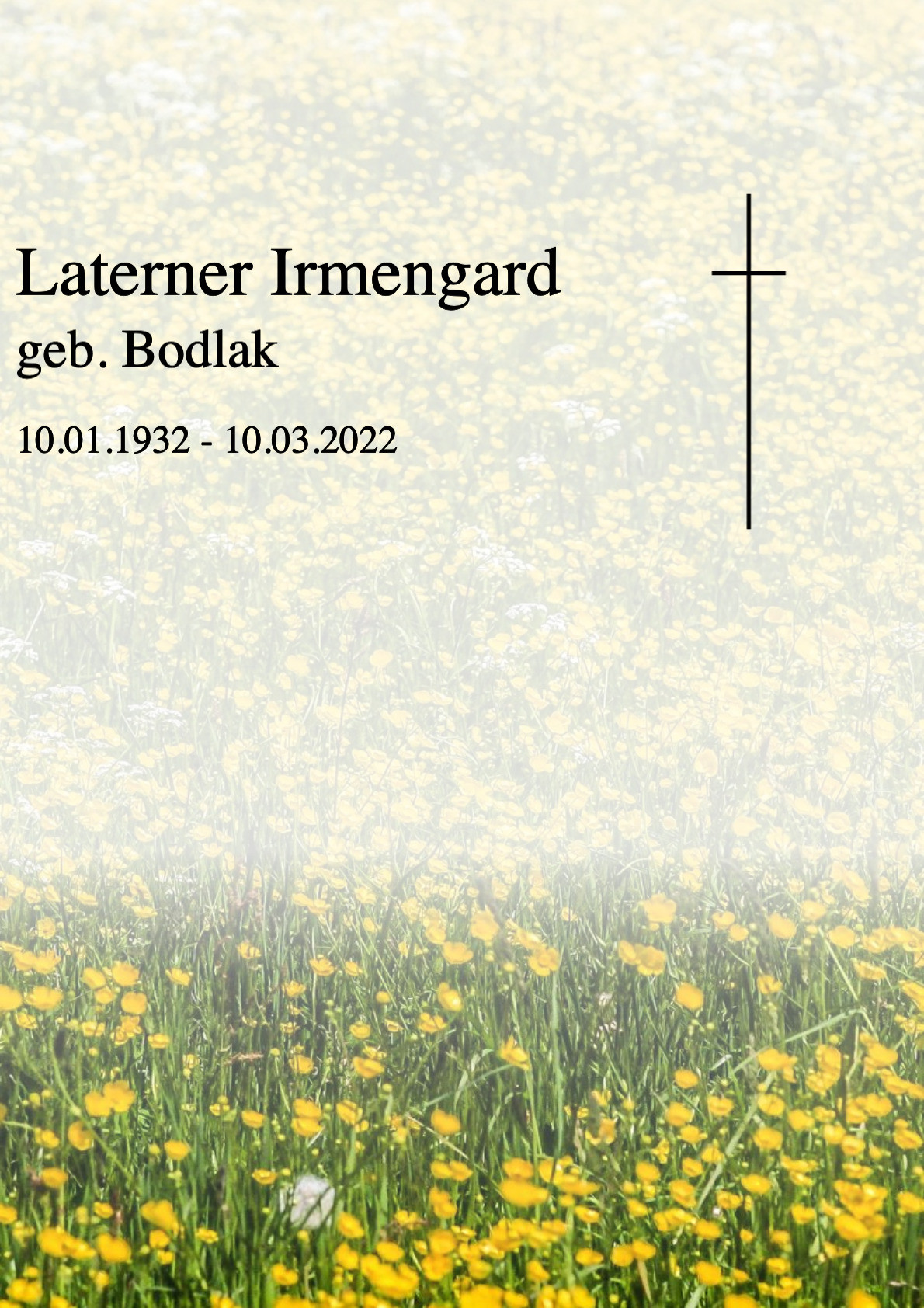 Traueranzeige von Laterner Irmengard