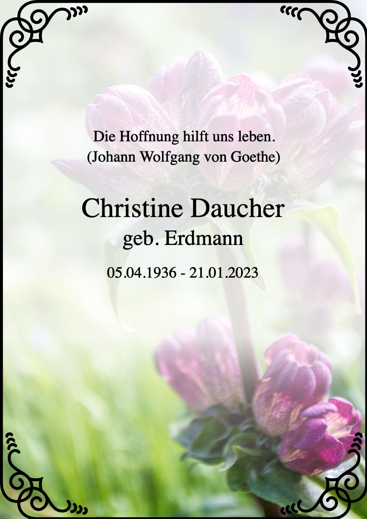 Traueranzeige von Christine Daucher