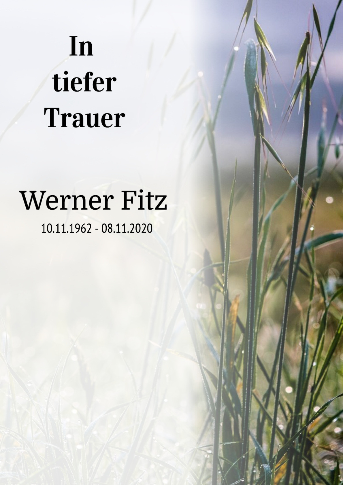 Traueranzeige von Werner Fitz