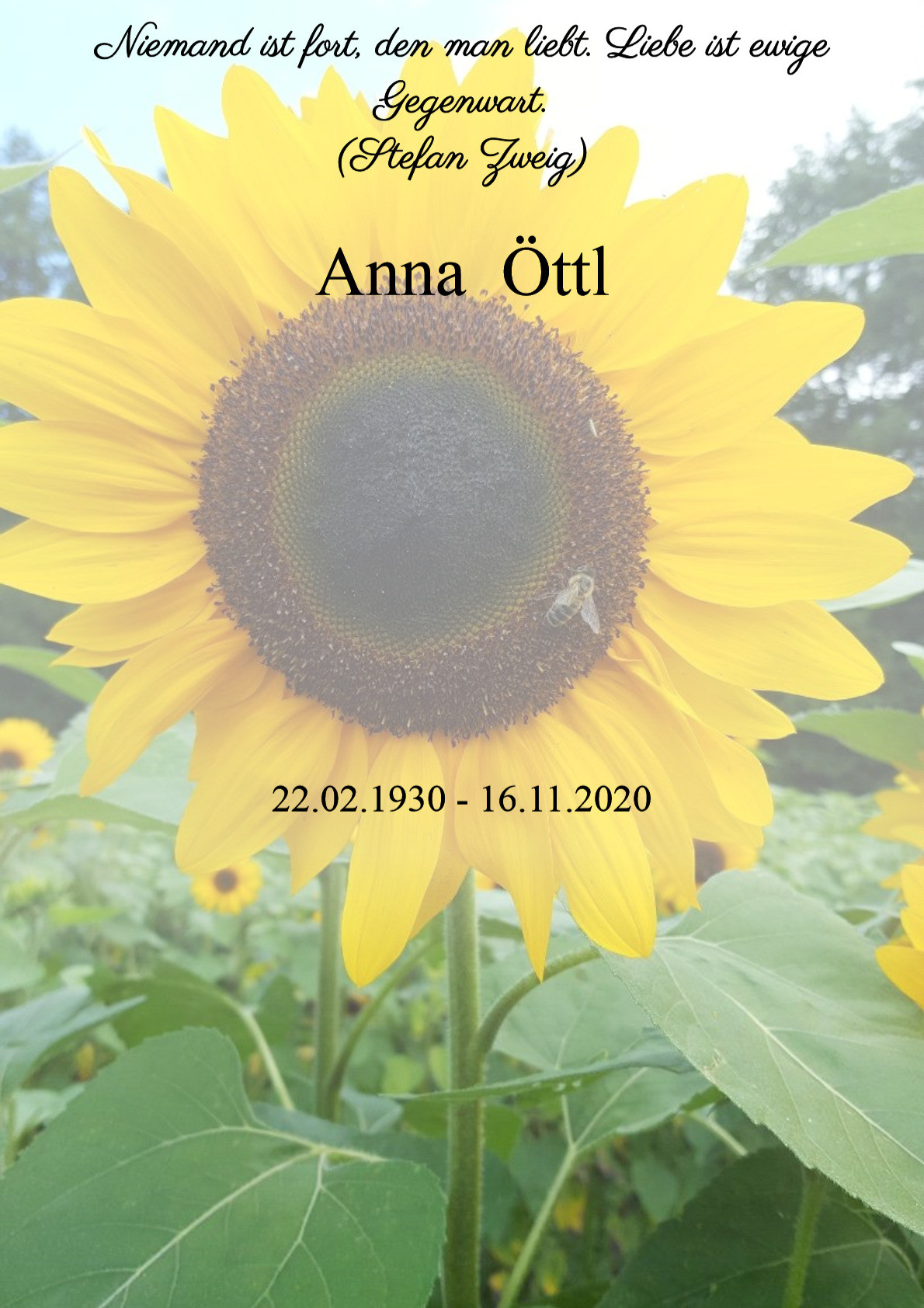 Traueranzeige von Anna Öttl