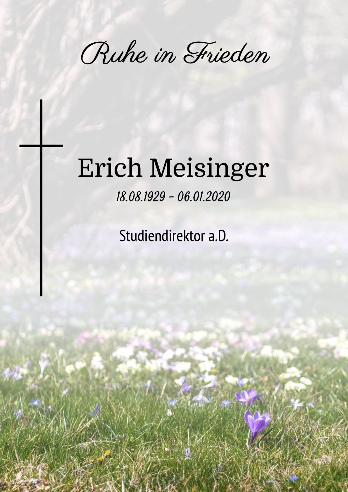 Traueranzeige von Erich Meisinger