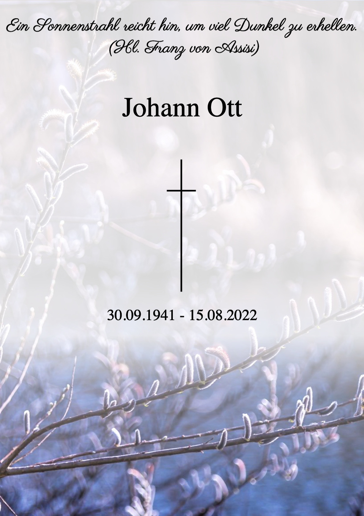Traueranzeige von Johann Ott