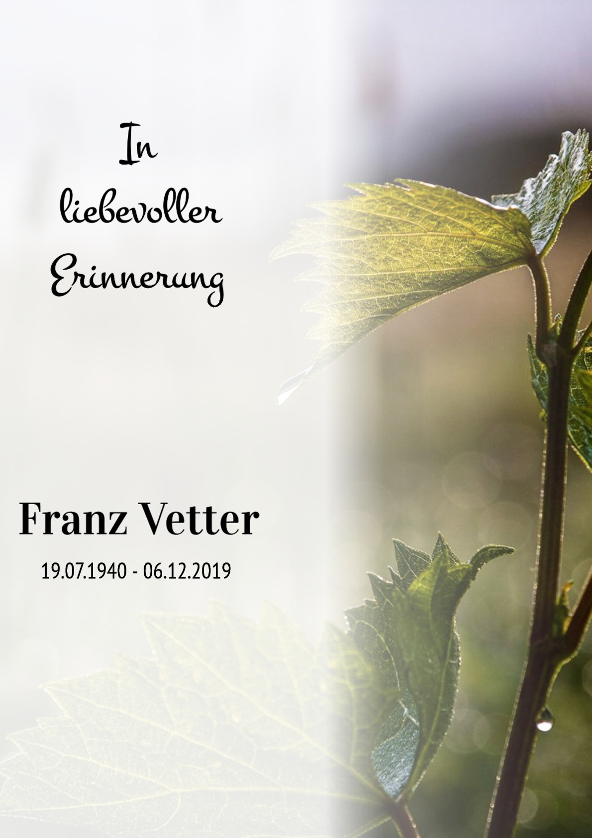 Traueranzeige von Franz Vetter