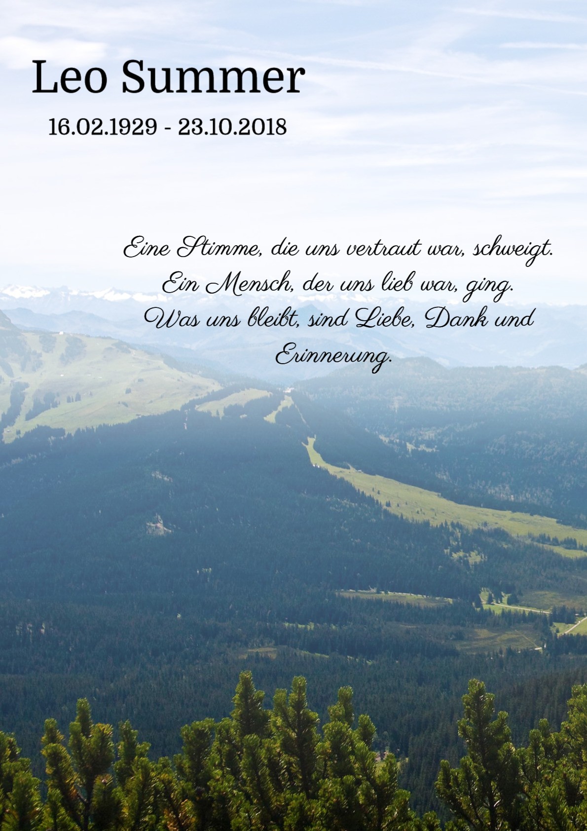 Traueranzeige von Leo Summer