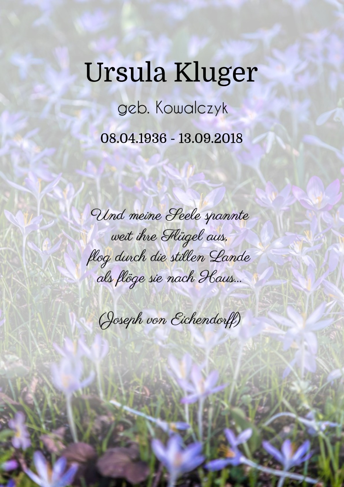 Traueranzeige von Ursula Kluger